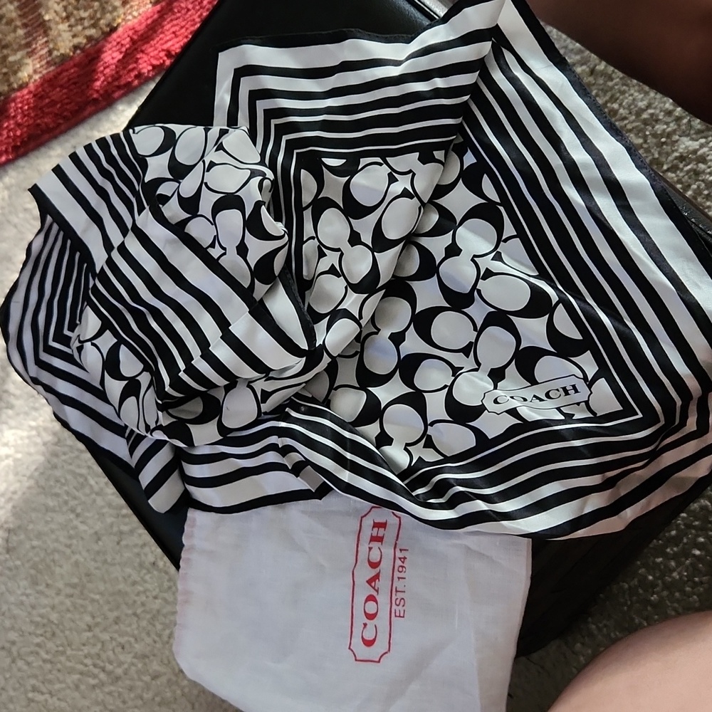 100 Silk Coach Scarf